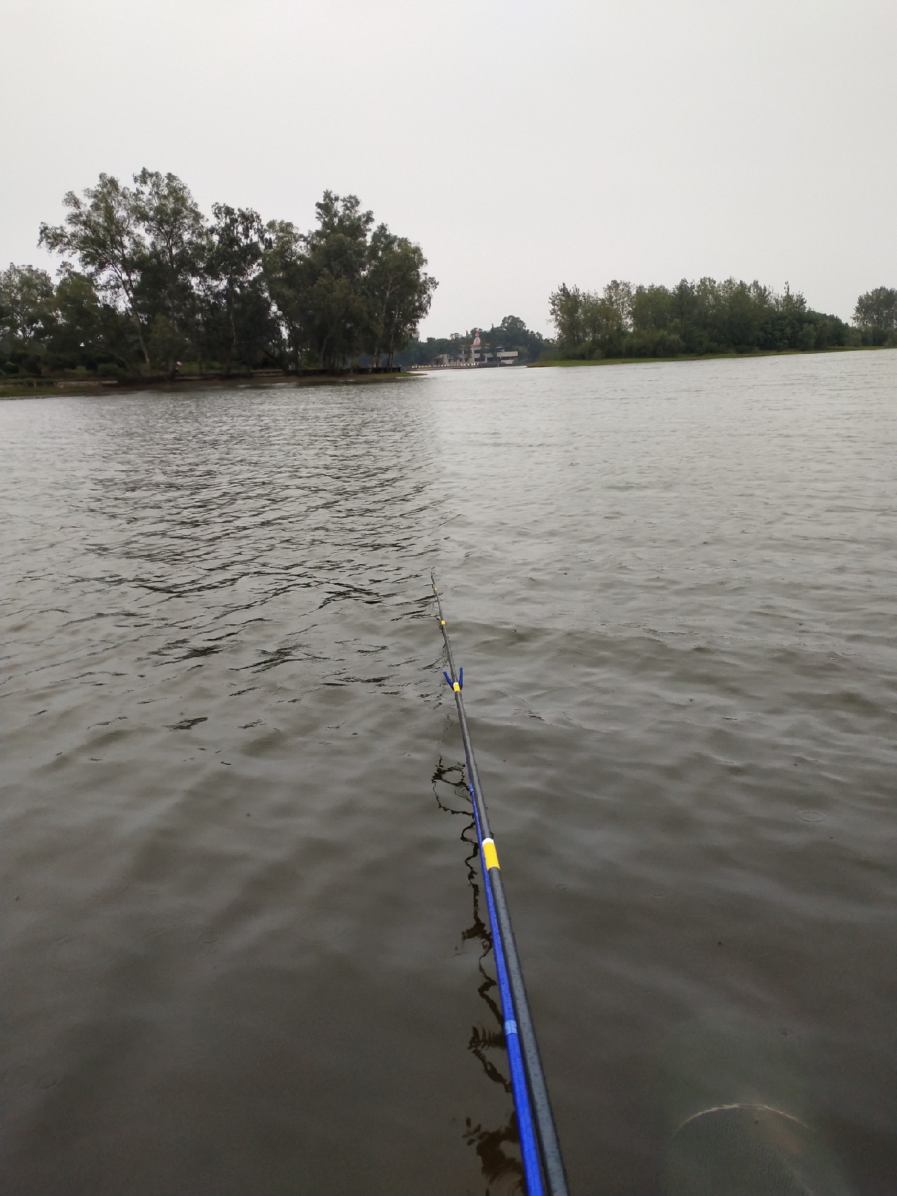 无奈捅了奶鲤窝连竿连得怀疑人生