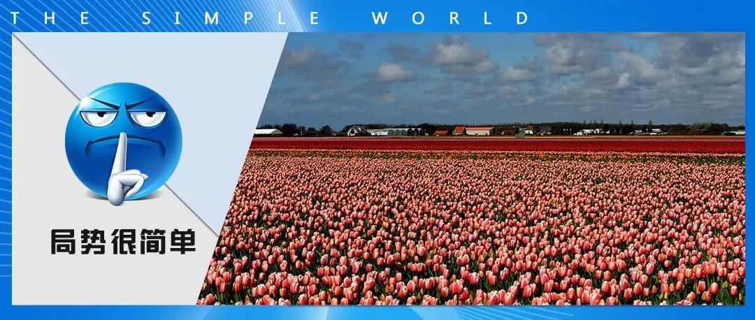 荷兰郁金香炒作了多少年,荷兰郁金香当年有多疯狂