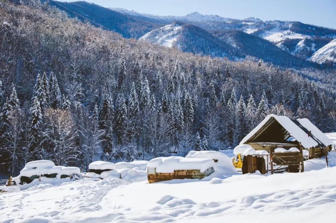 冬天的新疆喀纳斯,冬天是去伊犁还是喀纳斯