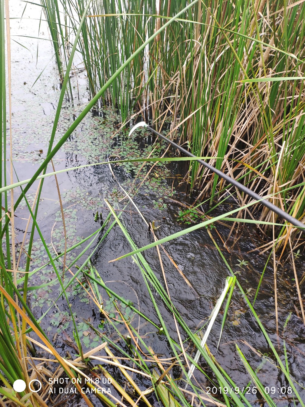 提高路亚中鱼率,打黑用什么假饵中鱼率高