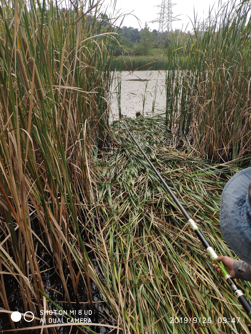 提高路亚中鱼率,打黑用什么假饵中鱼率高