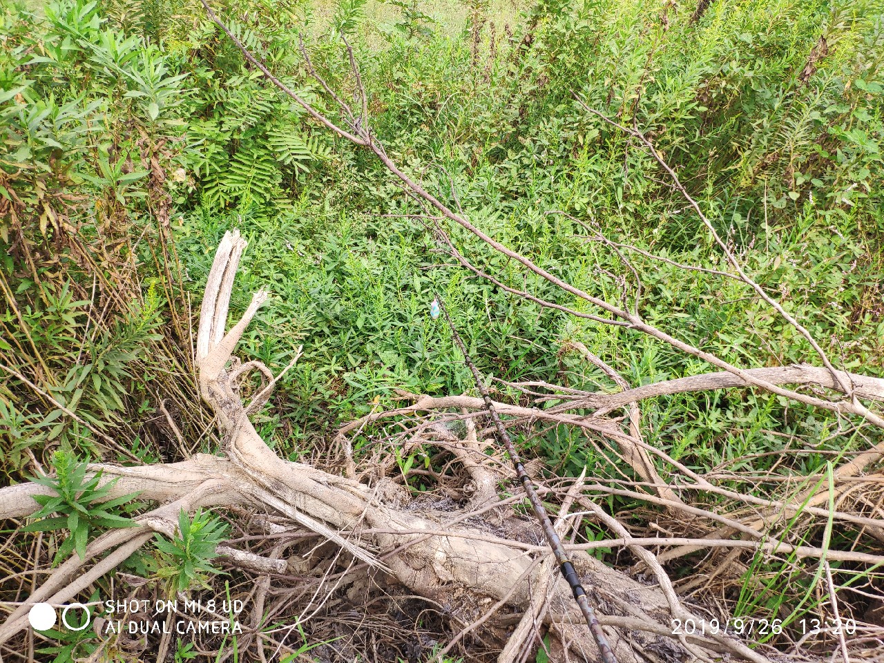 提高路亚中鱼率,打黑用什么假饵中鱼率高