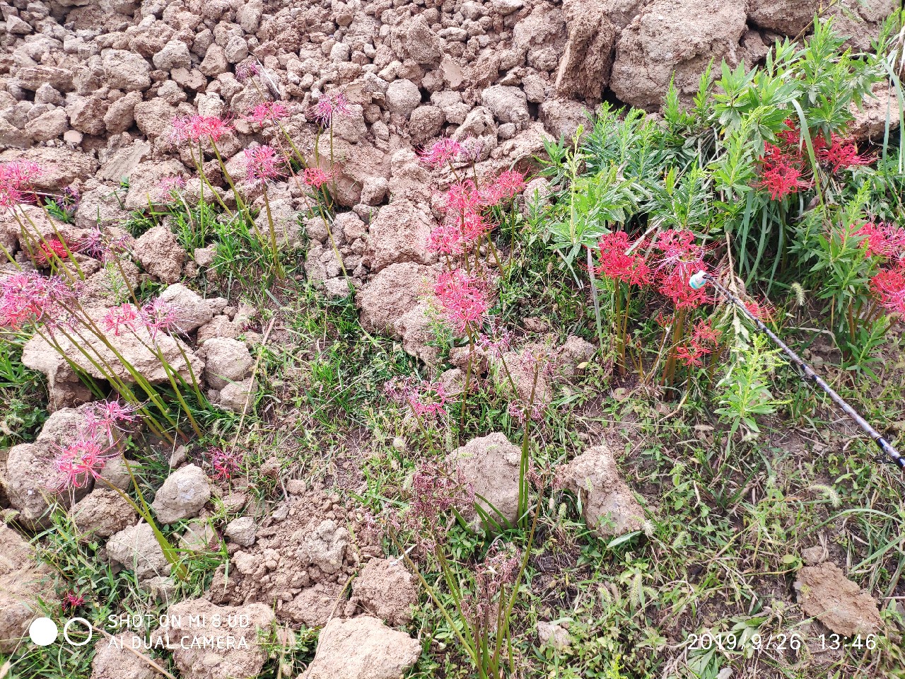 提高路亚中鱼率,打黑用什么假饵中鱼率高