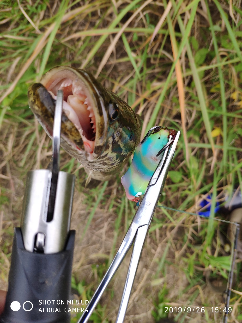 提高路亚中鱼率,打黑用什么假饵中鱼率高