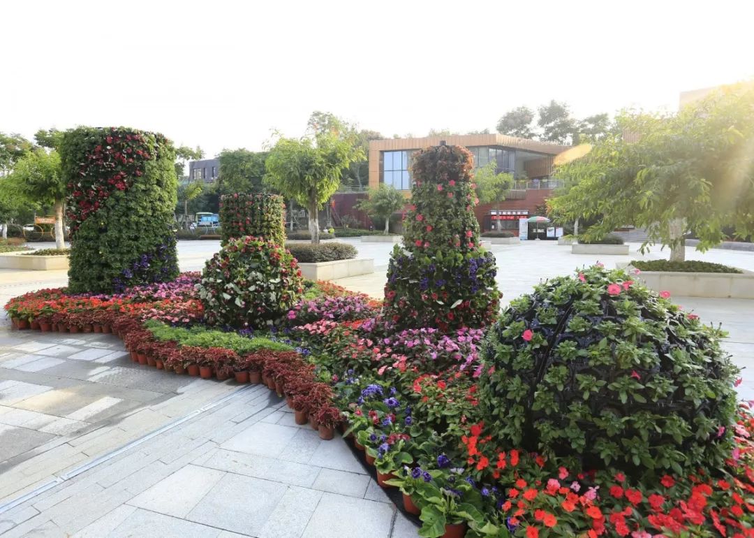 花漾宜昌如此美丽！44万盆鲜花全城绽放