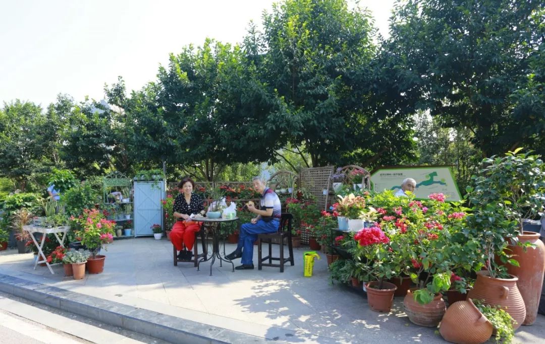 花漾宜昌如此美丽！44万盆鲜花全城绽放