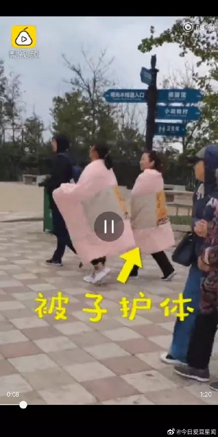 青岛五一旅游人数最新,青岛五一游客量暴涨