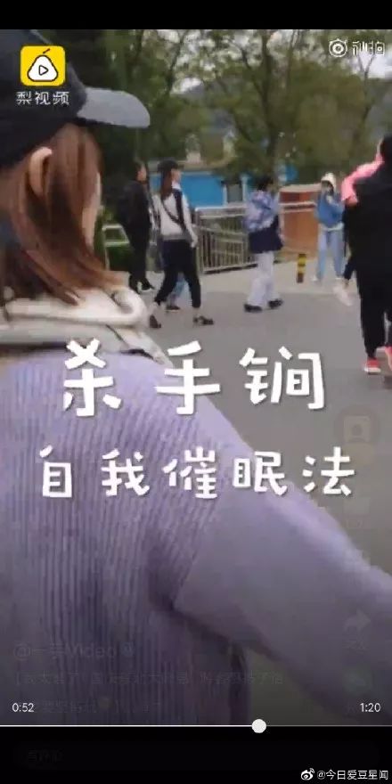 青岛五一旅游人数最新,青岛五一游客量暴涨