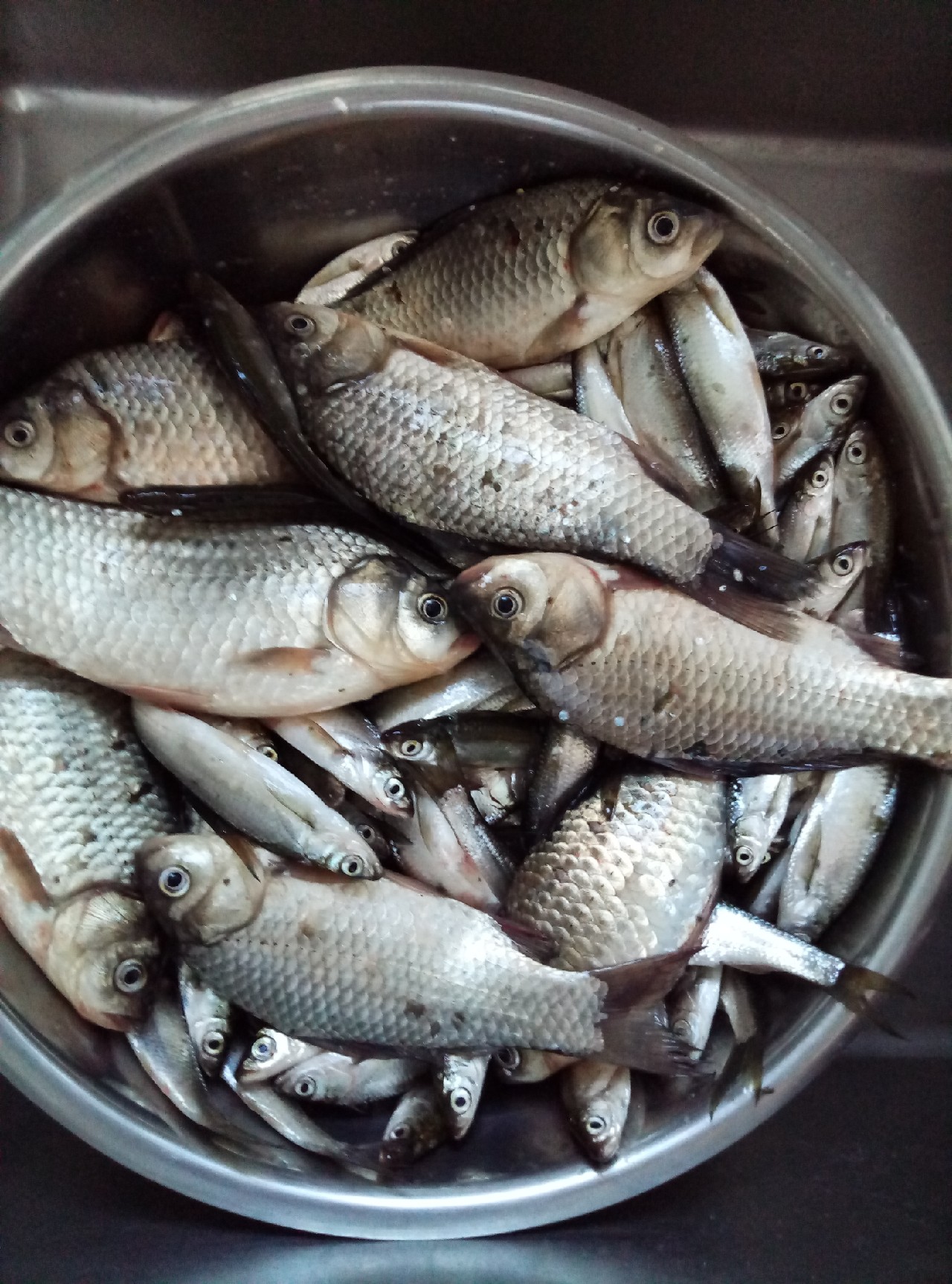 兄弟，我可能不能跟你一块钓鱼了