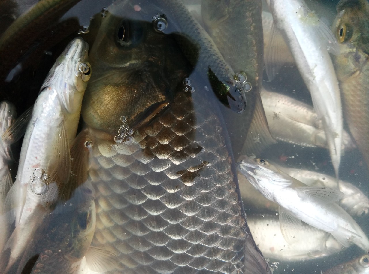 兄弟，我可能不能跟你一块钓鱼了