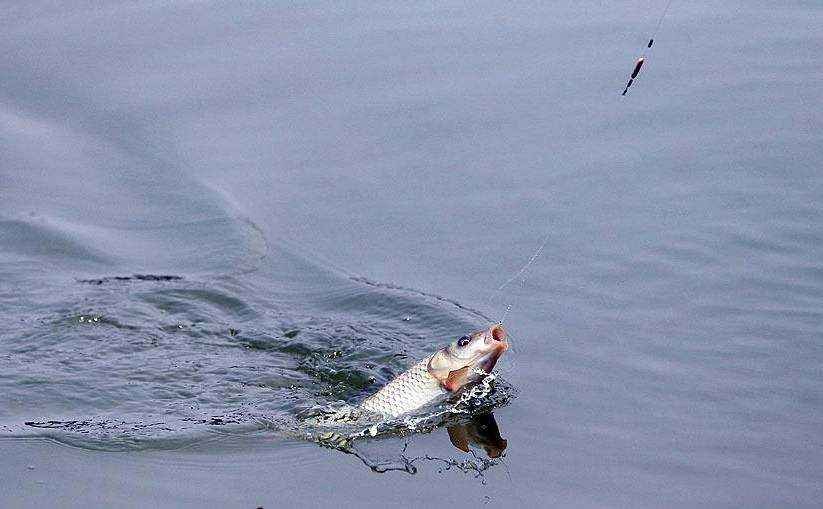 兄弟，我可能不能跟你一块钓鱼了