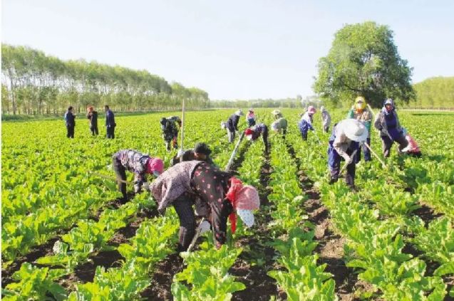 黑龙江省美丽乡村建设示范村名单,辽宁11个村镇入围全国示范