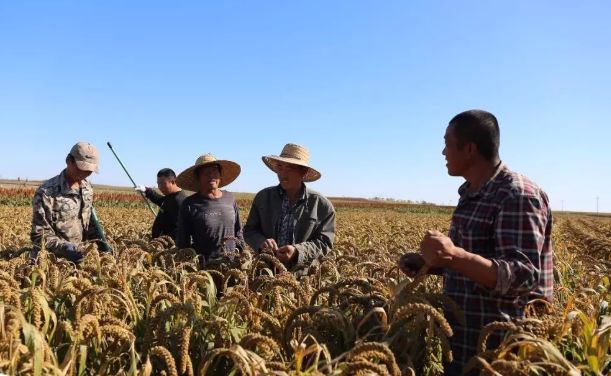 黑龙江省美丽乡村建设示范村名单,辽宁11个村镇入围全国示范