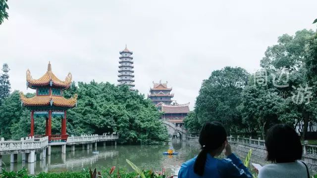 福州好玩拍照好看的地方,福州3-4月份赏花位置