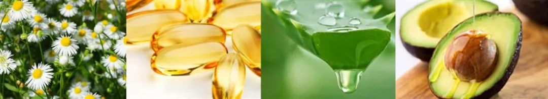 经典小甘菊护手霜75ml,德国小甘菊护手霜120多年老品牌