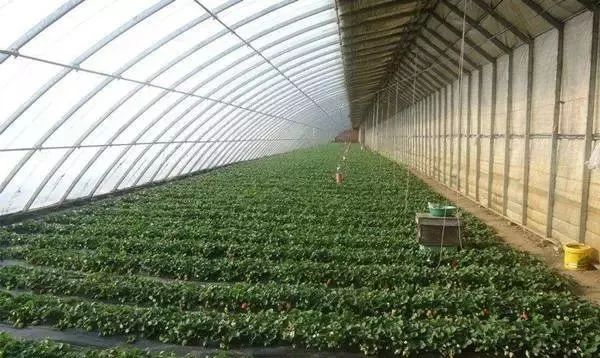 面临重茬，我们怎么办？（实用好文）