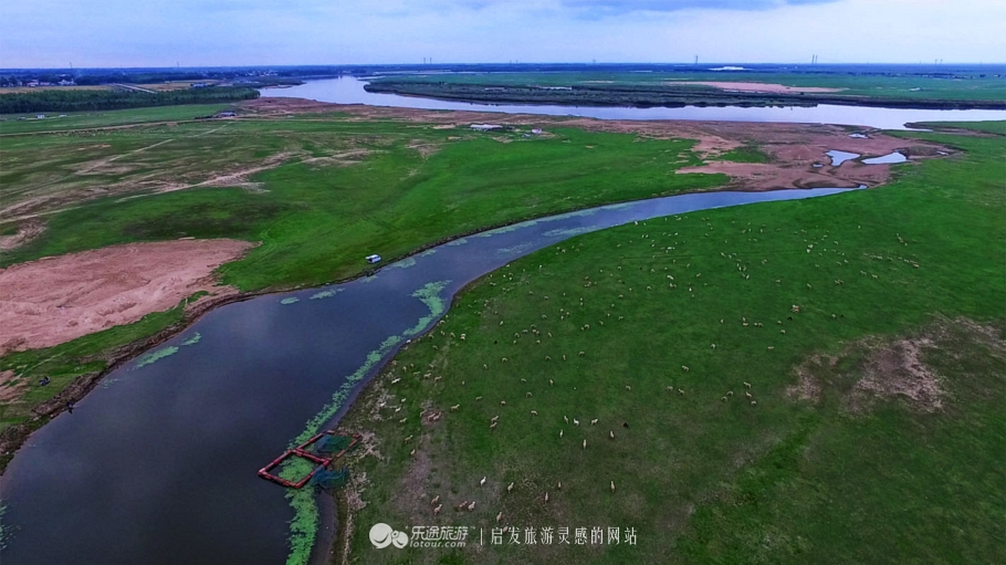 达斡尔小学曲棍球比赛,呼伦贝尔达斡尔曲棍球