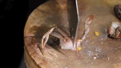 4.9折！国购广场这家店要被挤爆了，一口穿越到川渝