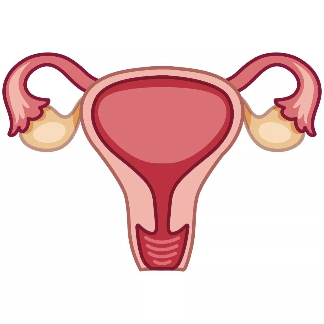 孕妈便秘大家都是怎么解决的,孕妈便秘关注事项和解决办法