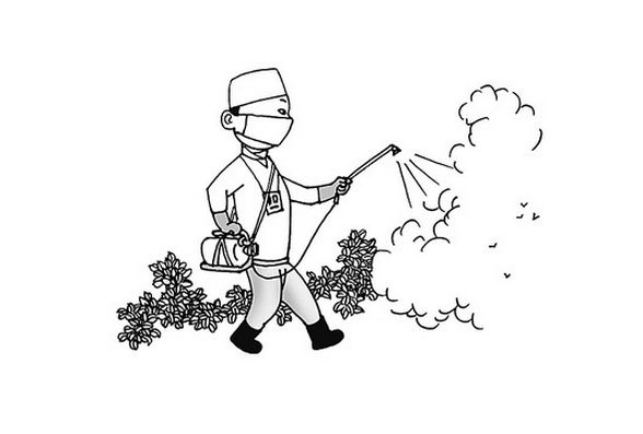 涨知识除四害保健康,除四害保健康