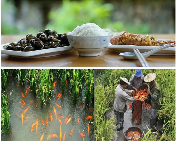 大山里的欧洲,大山里的欧洲城堡