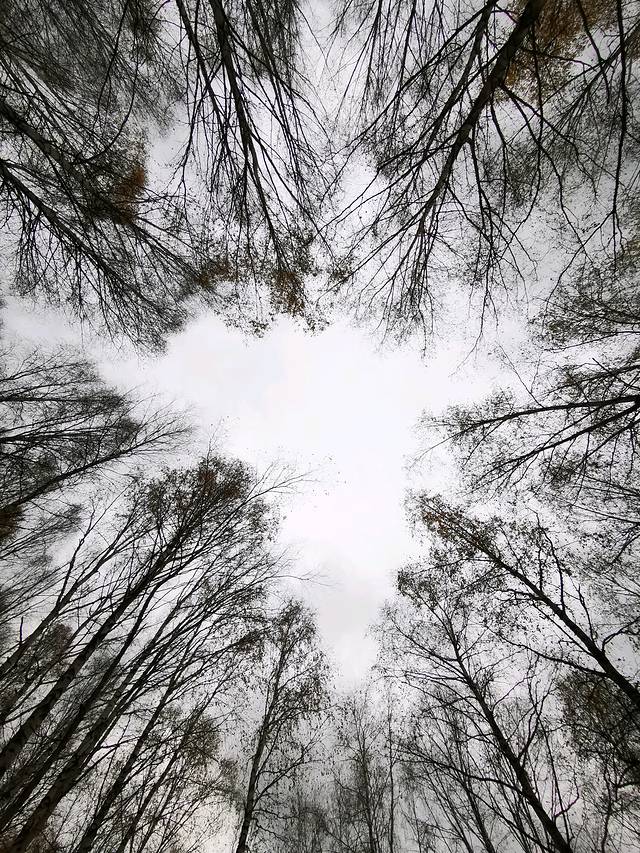 走过了圣城拉萨，这次让我们出使西域——*疆新**，一个来了之后会上瘾的地方