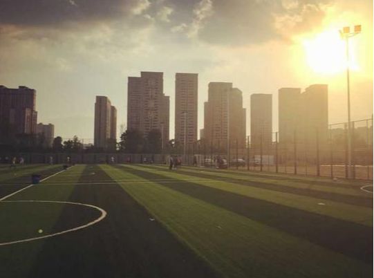 成都南门未来最大的足球场,成都最标准的足球场在哪里