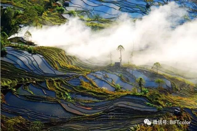 参观首都博物馆心得简短,参观北京自然博物馆的感想