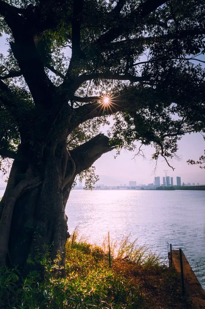 福州为什么会被厦门盖过？它旧得那么迷人