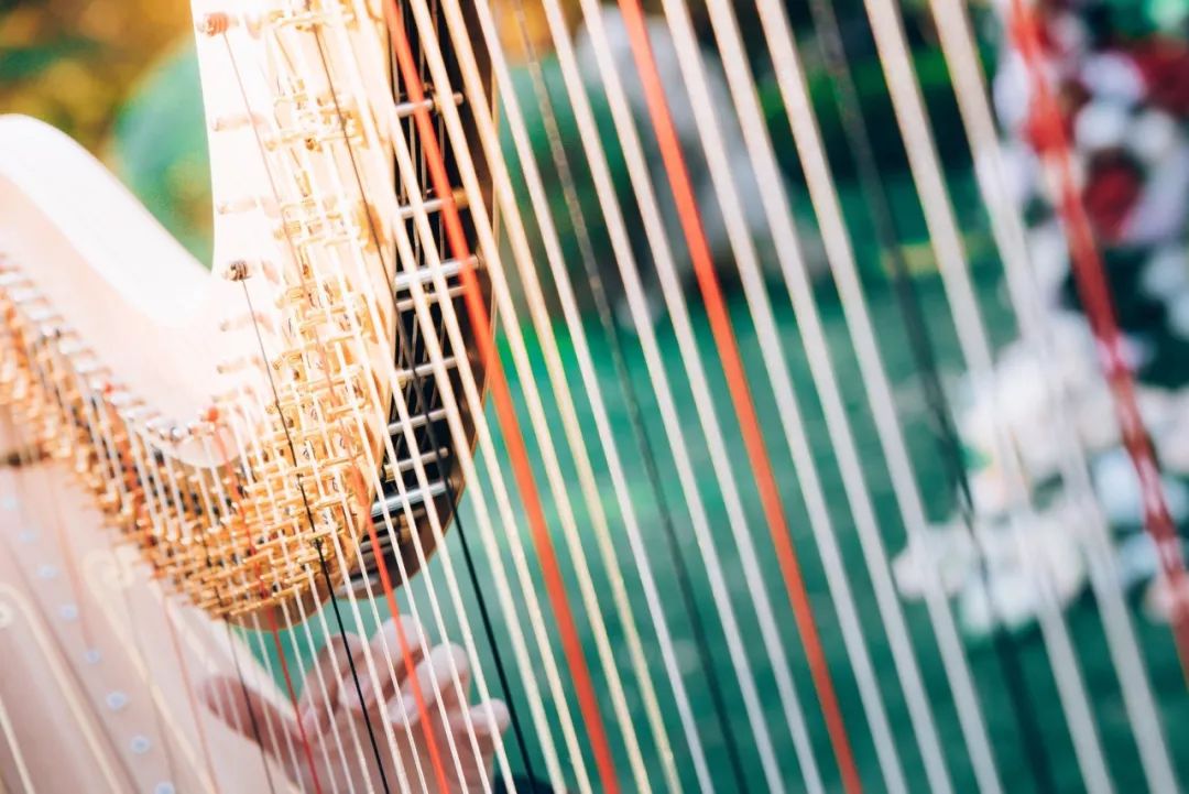 直道相思了无益完整诗句,那些相思入骨的绝美诗句