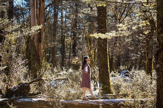 人间仙境美丽丽江,丽江遇见最美的丽江