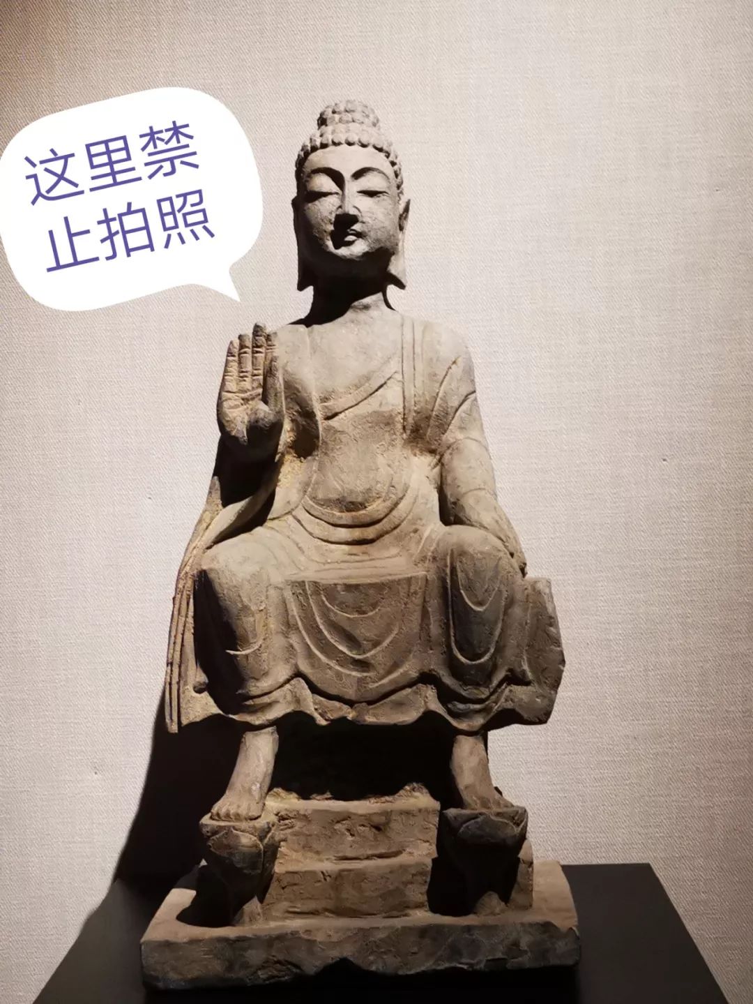 重庆大学建立了一个赝品博物馆,重庆大学赝品博物馆央视