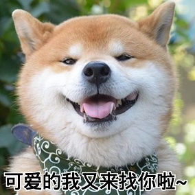 袁泉电影中国机长发布会,袁泉跟徐峥