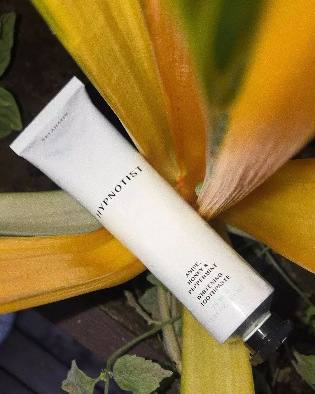 又美又好用的小众洗护，藏着你对生活的细腻追求