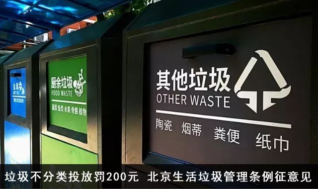 心动！京密引水渠旁再添“大氧吧”