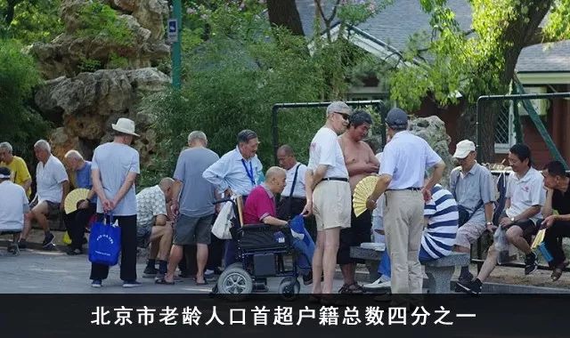 心动！京密引水渠旁再添“大氧吧”