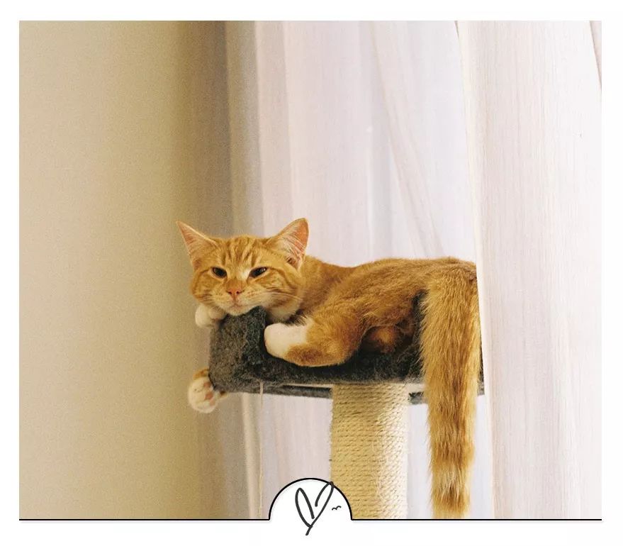 治愈不开心的心灵鸡汤,治愈人心的五句话看完心就不累了