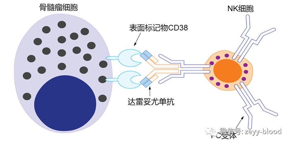 达雷妥尤单抗疗效如何,达雷妥尤单抗进医保自己出多少钱