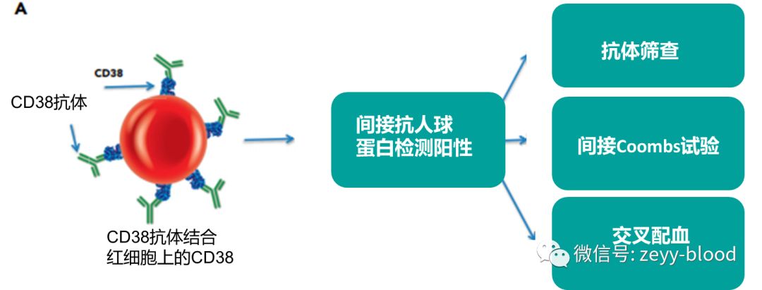 达雷妥尤单抗疗效如何,达雷妥尤单抗进医保自己出多少钱
