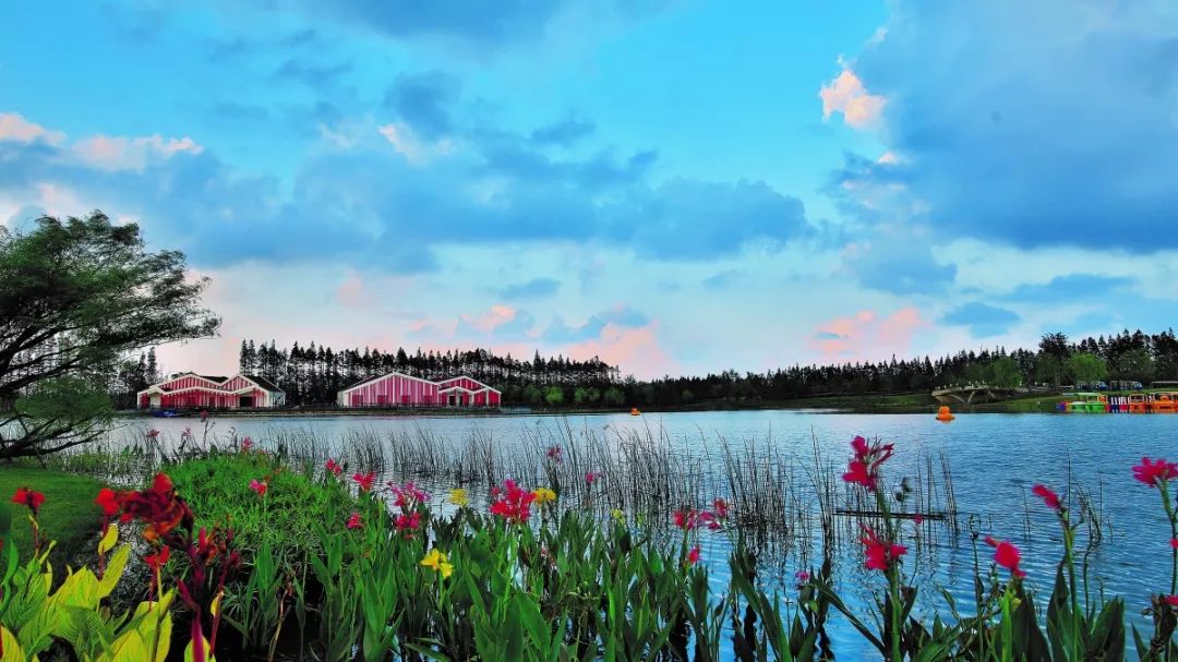 申城一日游必去景点,有哪些免费的景区推荐一下