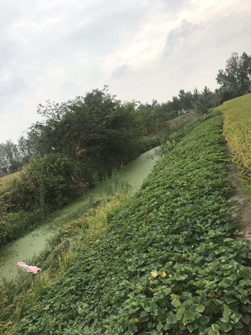 路亚打黑2022年视频,路亚打黑第一条鱼