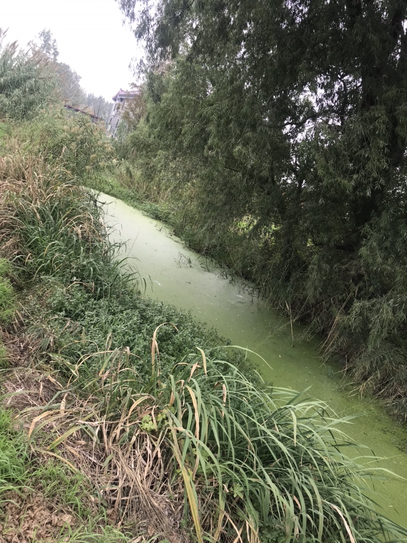 路亚打黑2022年视频,路亚打黑第一条鱼