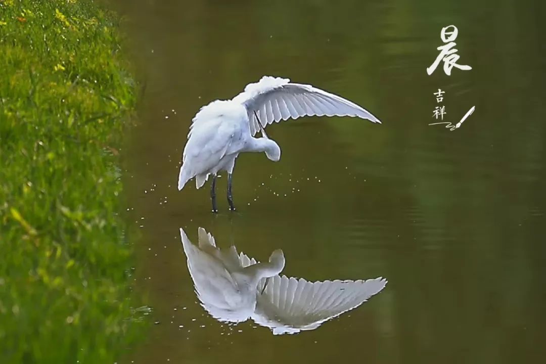 沂水活动摄影哪家好,沂水新沂蒙摄影