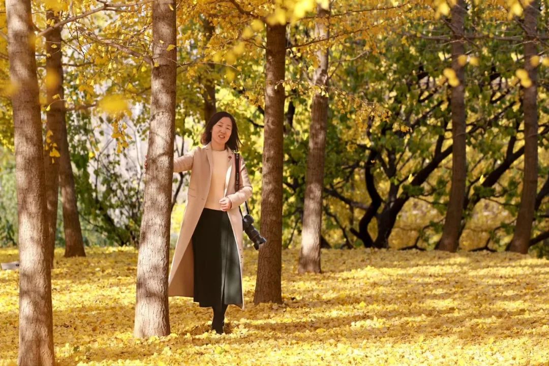 沂水活动摄影哪家好,沂水新沂蒙摄影