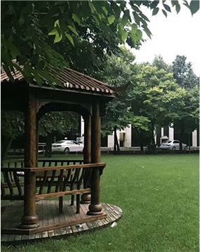 “失眠的正念治疗培训班”开始报名啦