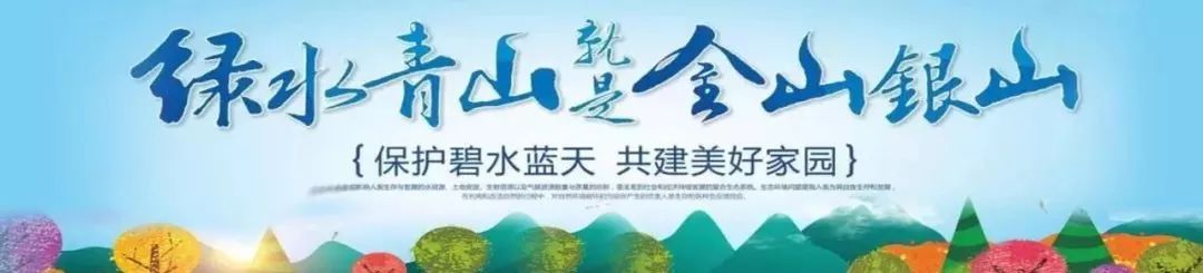 六安初中学生排名前十名,六安优秀学子名单