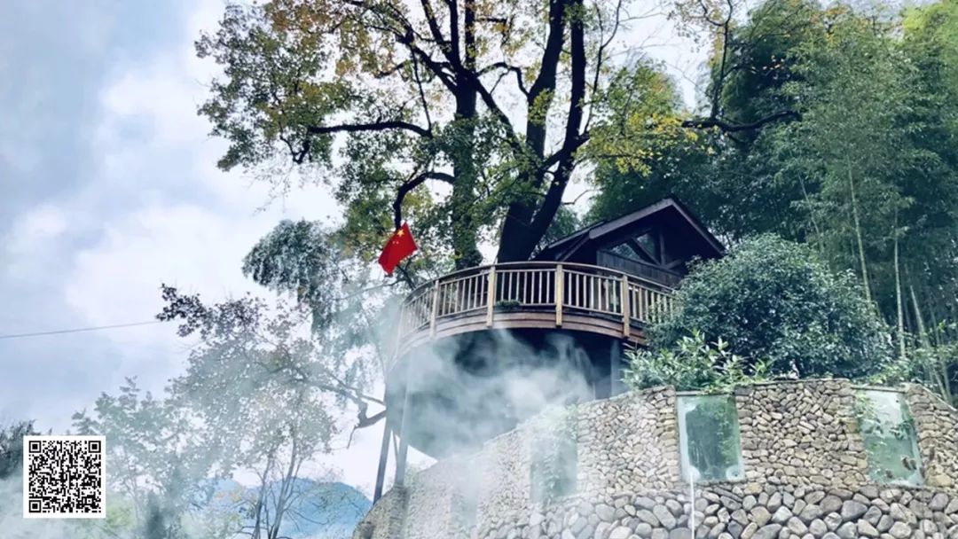 重磅！永嘉五家民宿入围2019中国十大必睡·美宿50强，青箬山房暂时排名第一