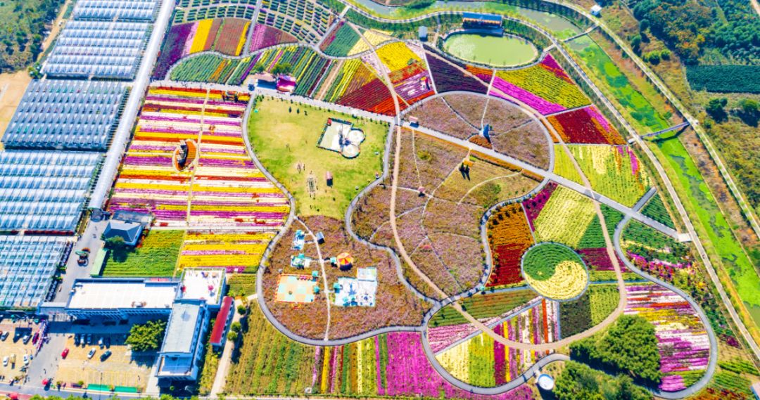 四月浙江最美花海,浙北绝美风光