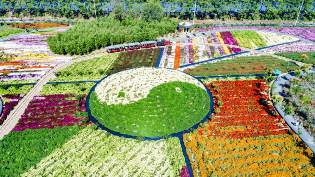 四月浙江最美花海,浙北绝美风光