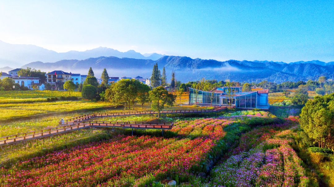 四月浙江最美花海,浙北绝美风光